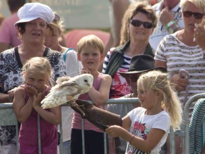 Presentaties & Workshops