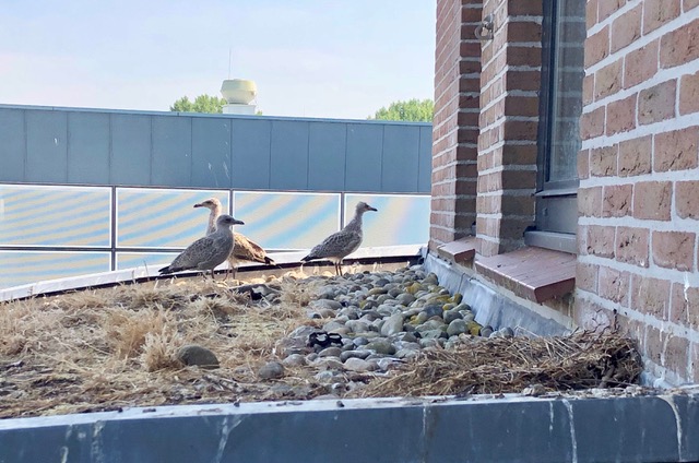 Wees er op tijd bij!